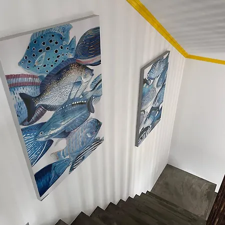 Spot Milasmar Faja Grande