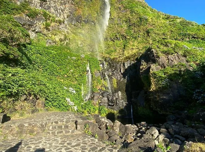 Spot Milasmar Faja Grande