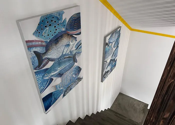 Spot Milasmar Faja Grande