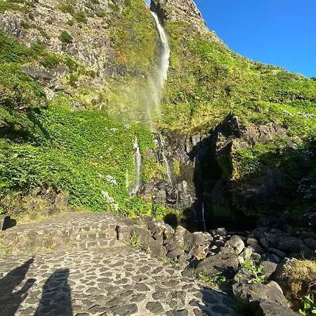 Spot Milasmar Faja Grande