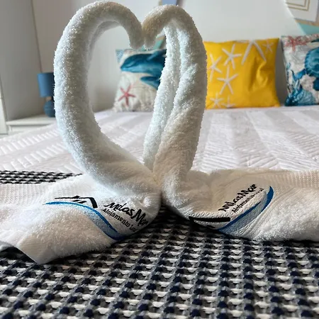 Spot Milasmar Willa *